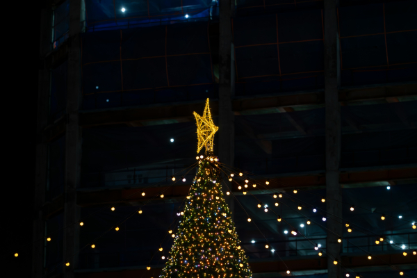 ACTION Christmas Outreach 2025